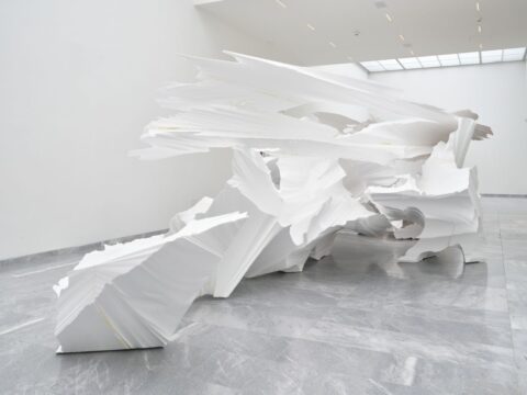 Katharina Grosse