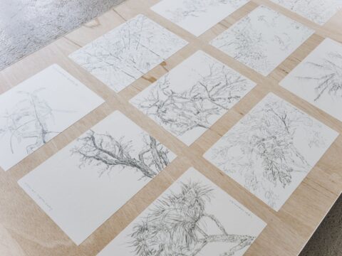 Zheng Bo, Künstlerhaus Stuttgart