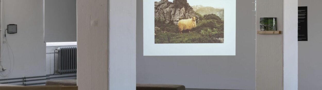 Shepherdology